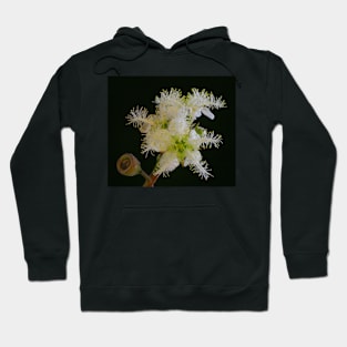 Little Aussie Star Hoodie